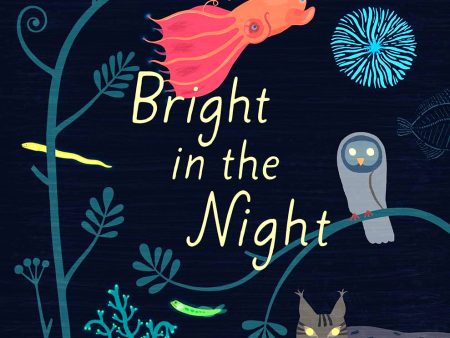 Bright In The Night Online now