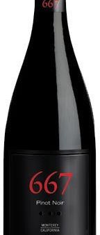 667 Monterey Pinot Noir Discount